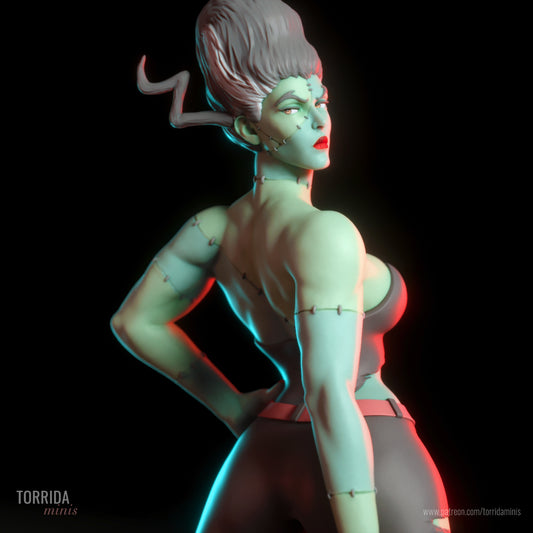 The Bride Pinup Adult 3D Resin Figurine Model Kit