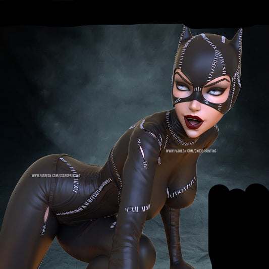 Cat Burglar Adult 3D Resin Figurine Model Kit