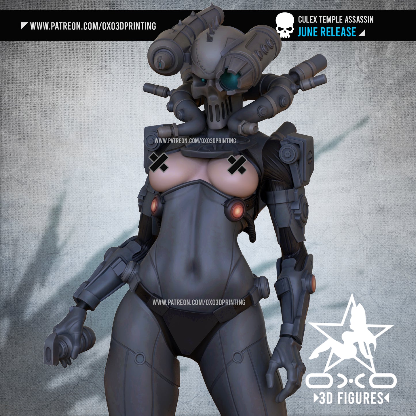 Assassin C Pinup Adult 3D Resin Figurine Model Kit