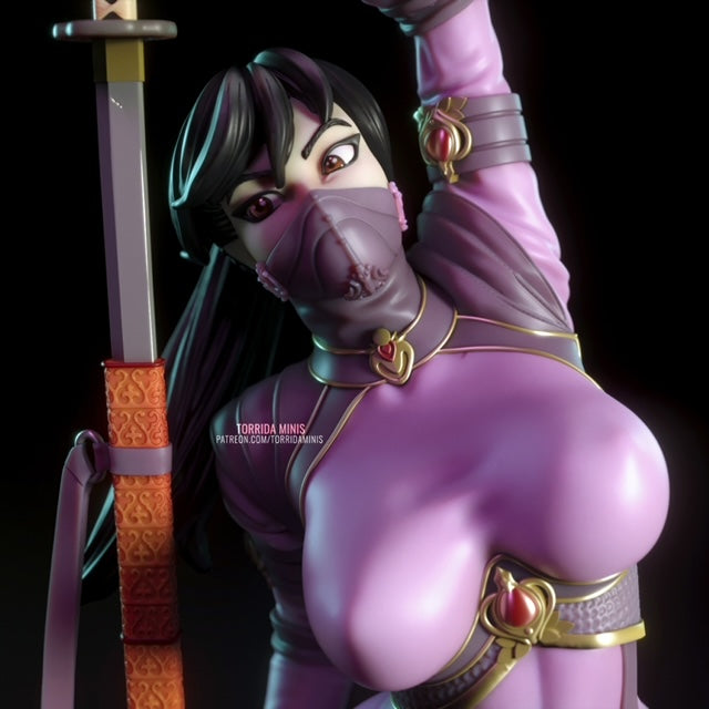 Ninja Sara Pinup 3D Resin Figurine Model Kit